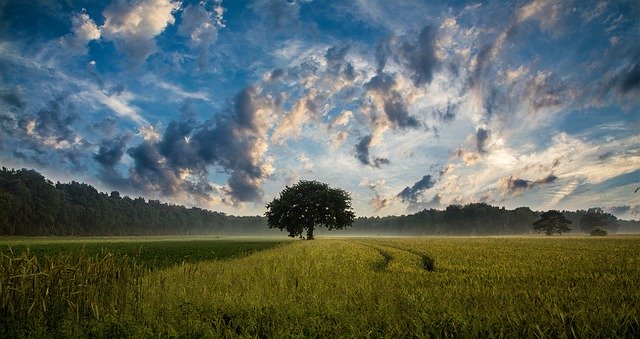 W jaki sposób można leczyć uzależnienie od farmaceutyków na receptę?